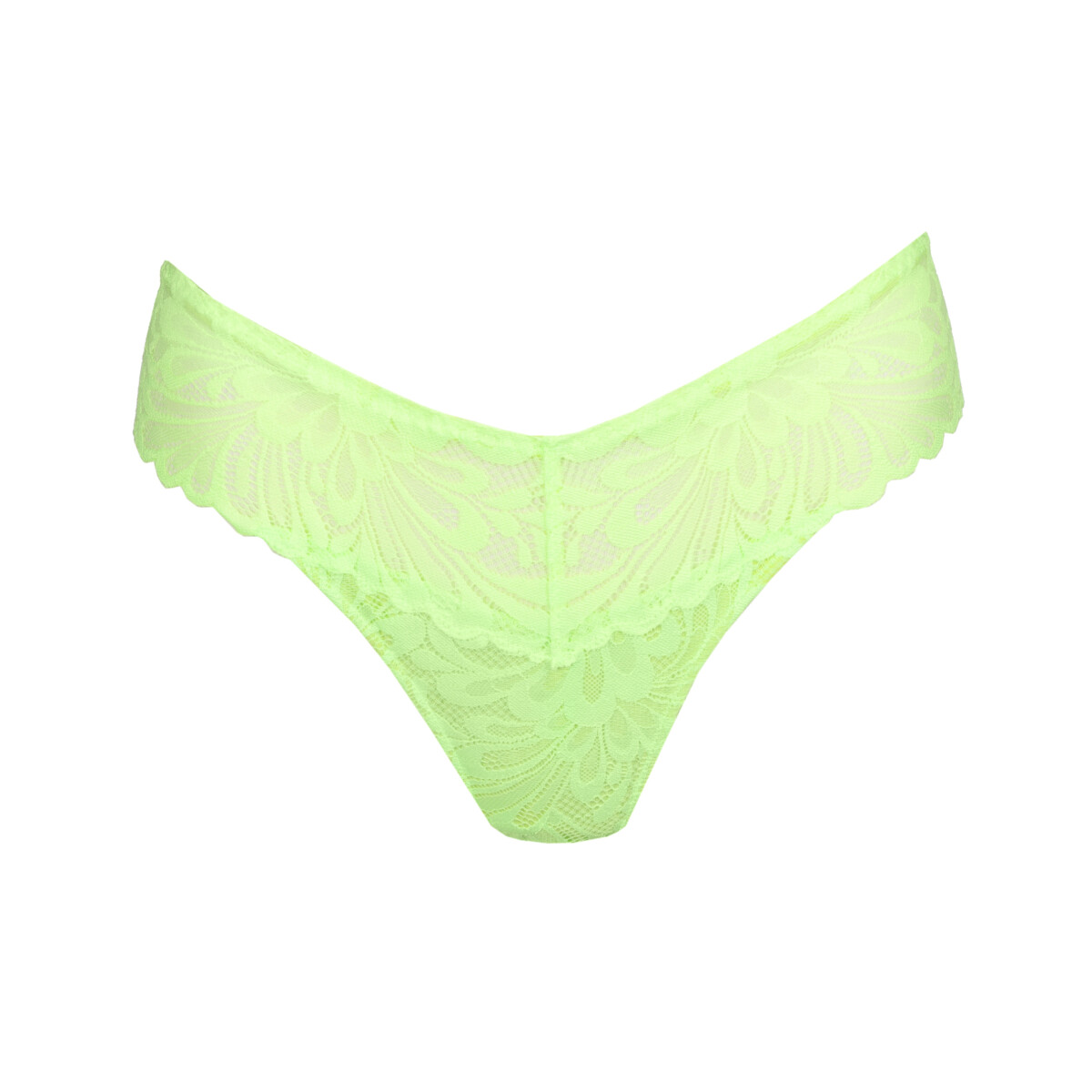 PRIMADONNA string Rupi
