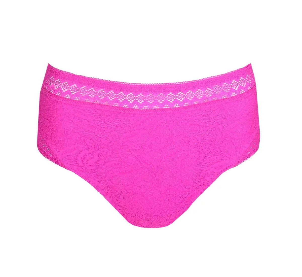 PRIMADONNA Palermo Cactus Flower