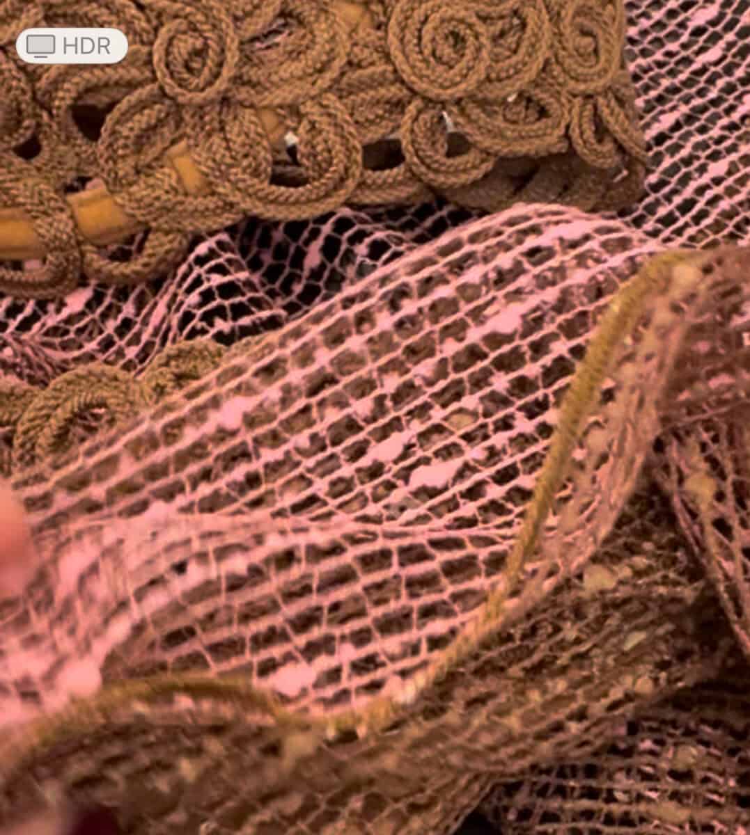 NICOLE OLIVIER Bee Pareo  Morocco