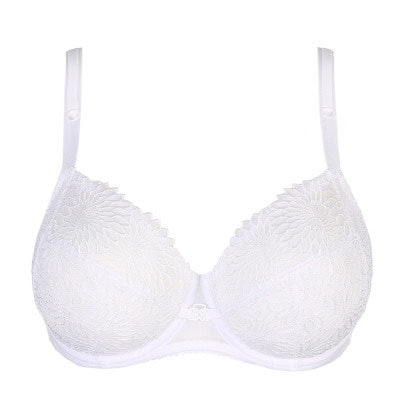 PRIMADONNA Sophora bh Wit